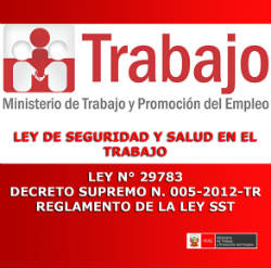 Sistemas Integrales Ley 29783